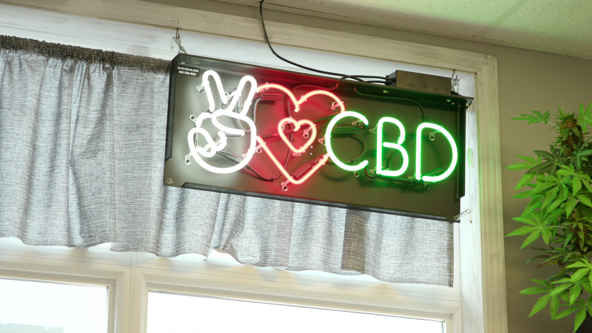 A neon sign showing the "V" finger symbol, one heart symbol nestled inside another, and the letters "CBD" is illuminated at the top right corner of a window partially covered by a curtain.