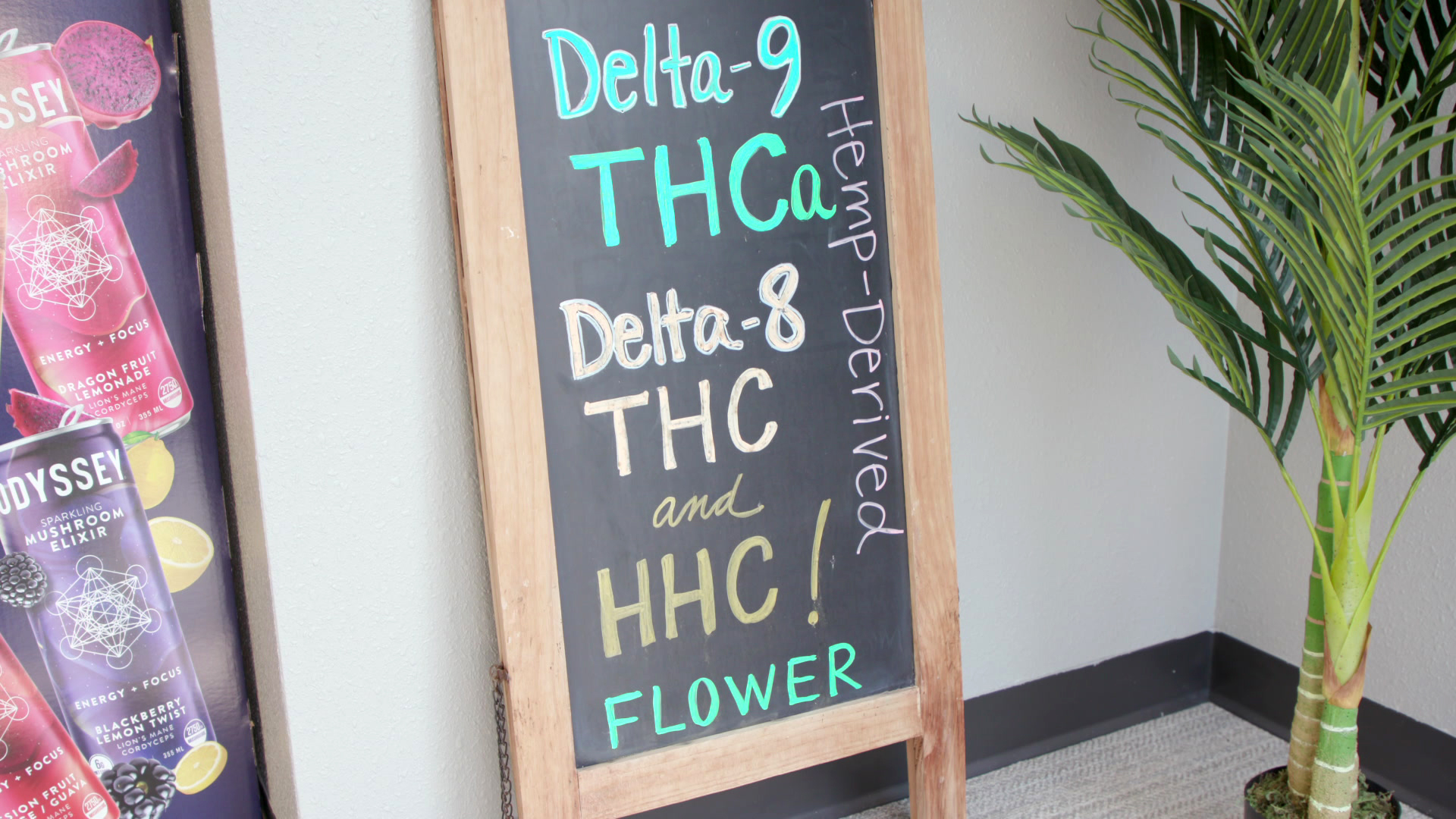 The words "Hemp-Derived," "Delta-9 THCa," "Delta-8 THC and HHC!" and "Flower" are written in chalk on a slate sandwich board sign, in a room with a potted plant on one side and a printed advertisement for a beverage on the other side.