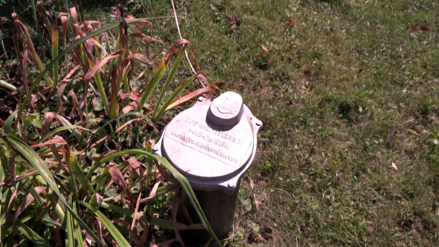 Sunlight illuminates a metal cap on a water well head situated next to ground foliage in a lawn.