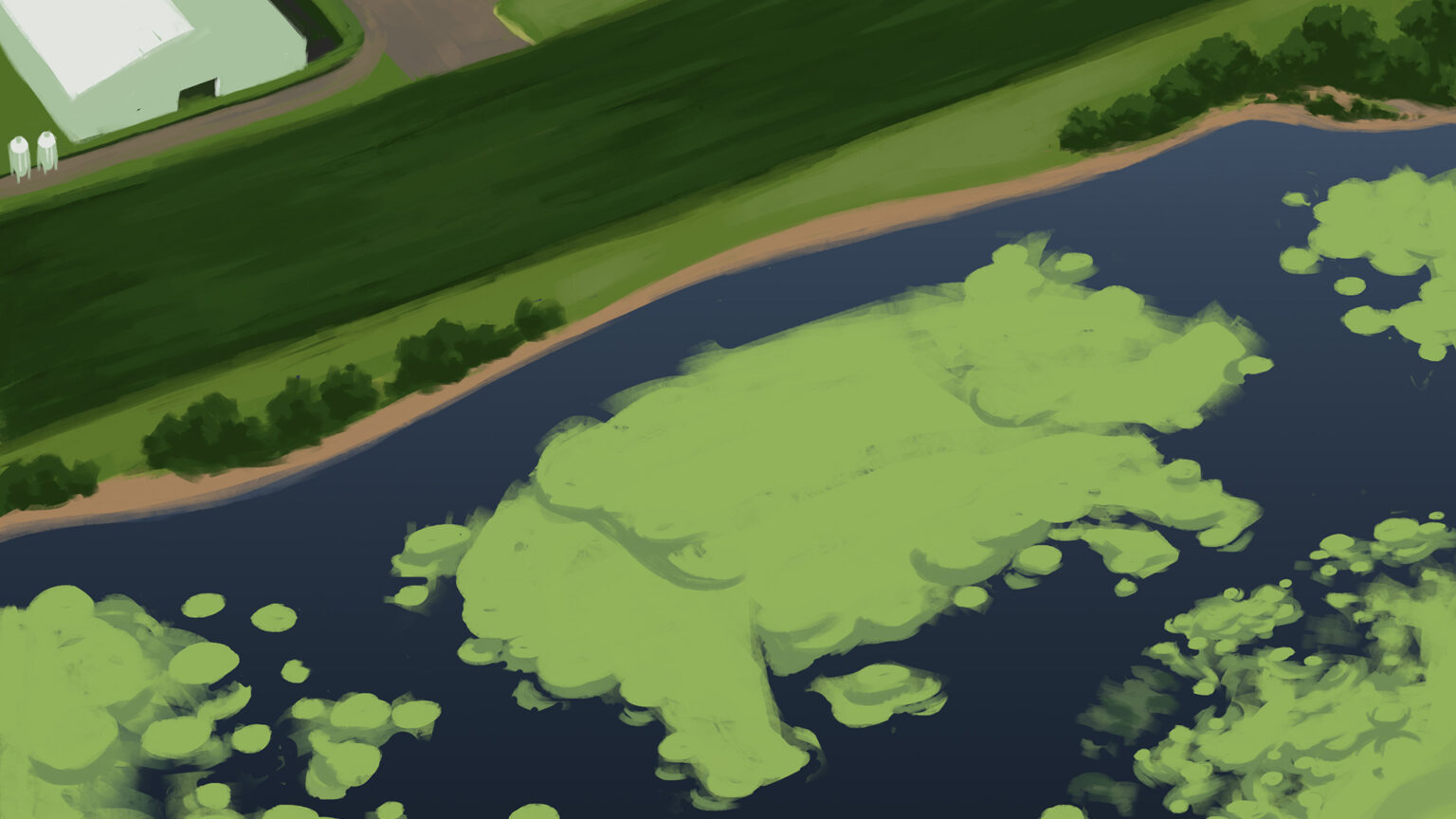 An illustration shows an aerial view of a farm and adjacent body of water, with algal growth on its surface in the shape of a pig.