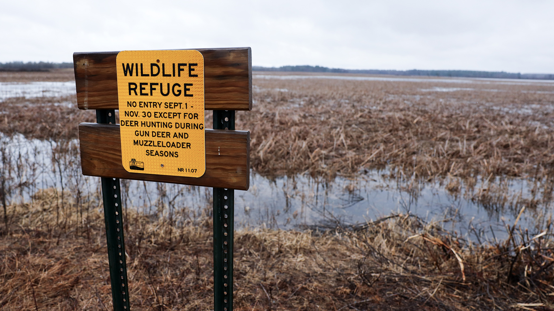 A sign reading "Wildlife Refuge" and "No Entry Sept. 1 - Nov. 30 Except Deer Hunting During Gun Deer and Muzzleloader Seasons" is mounted to two wood boards on perforated metal stakes in front of wetlands with areas of marsh and standing water, with wooded lands at the horizon.