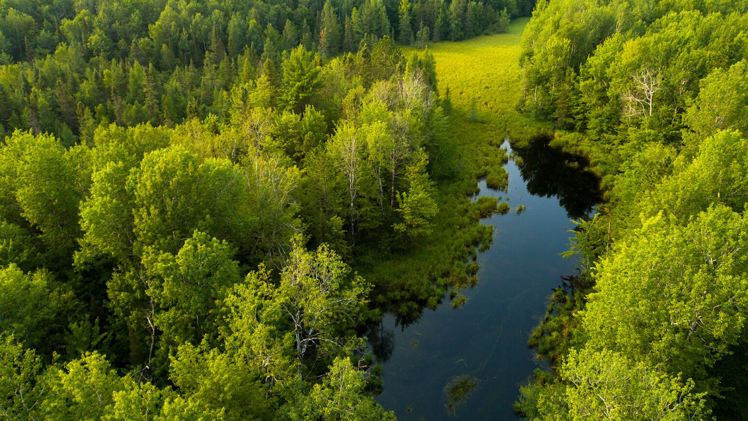 An aerial photo shows a body of water surrounded by deciduous and coniferous trees.