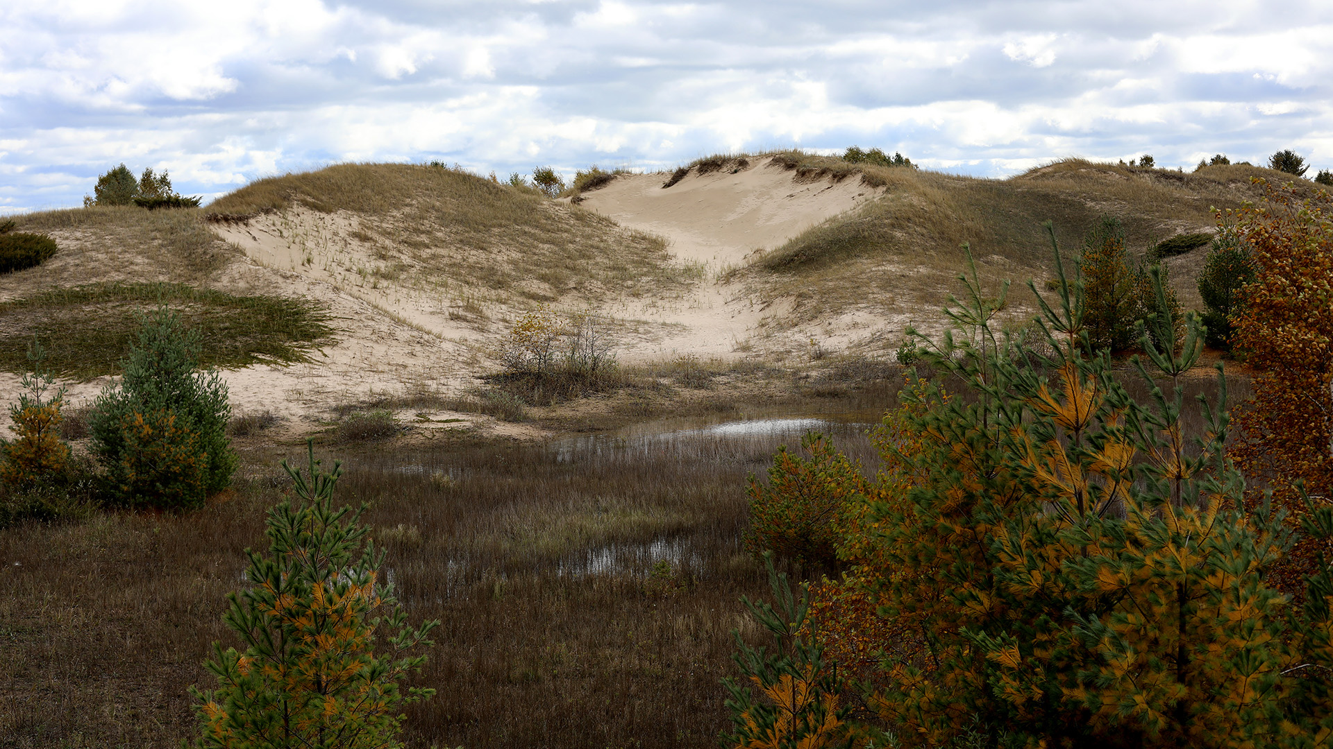 Grasses cover portions of multiple sand dunes, with wetlands and trees in the foreground and more trees on the horizon under a mostly cloudy sky.
