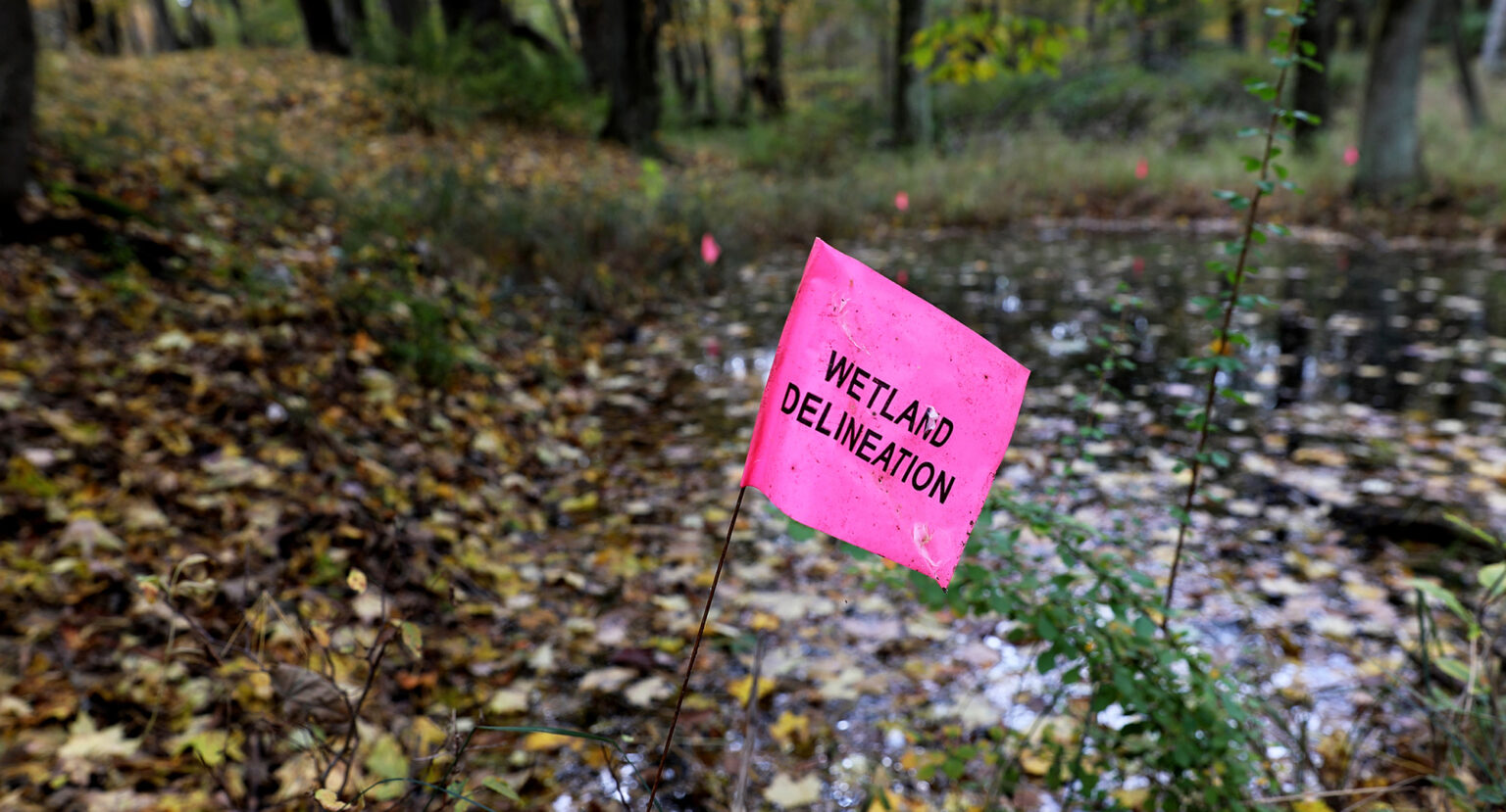 A small plastic flag with the words Wetland Delineation is attached to a metal pole placed into leaf-covered ground next to a small pond covered with leaves on its surface, with additional flags in along the shoreline and numerous trees in the background.