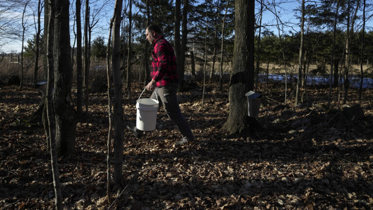 Jeremy Solin carries a five-gallon plastic bucket in his left hand while walking over leaf-covered ground among leafless deciduous trees, with a body of water and line of coniferous trees in the background.