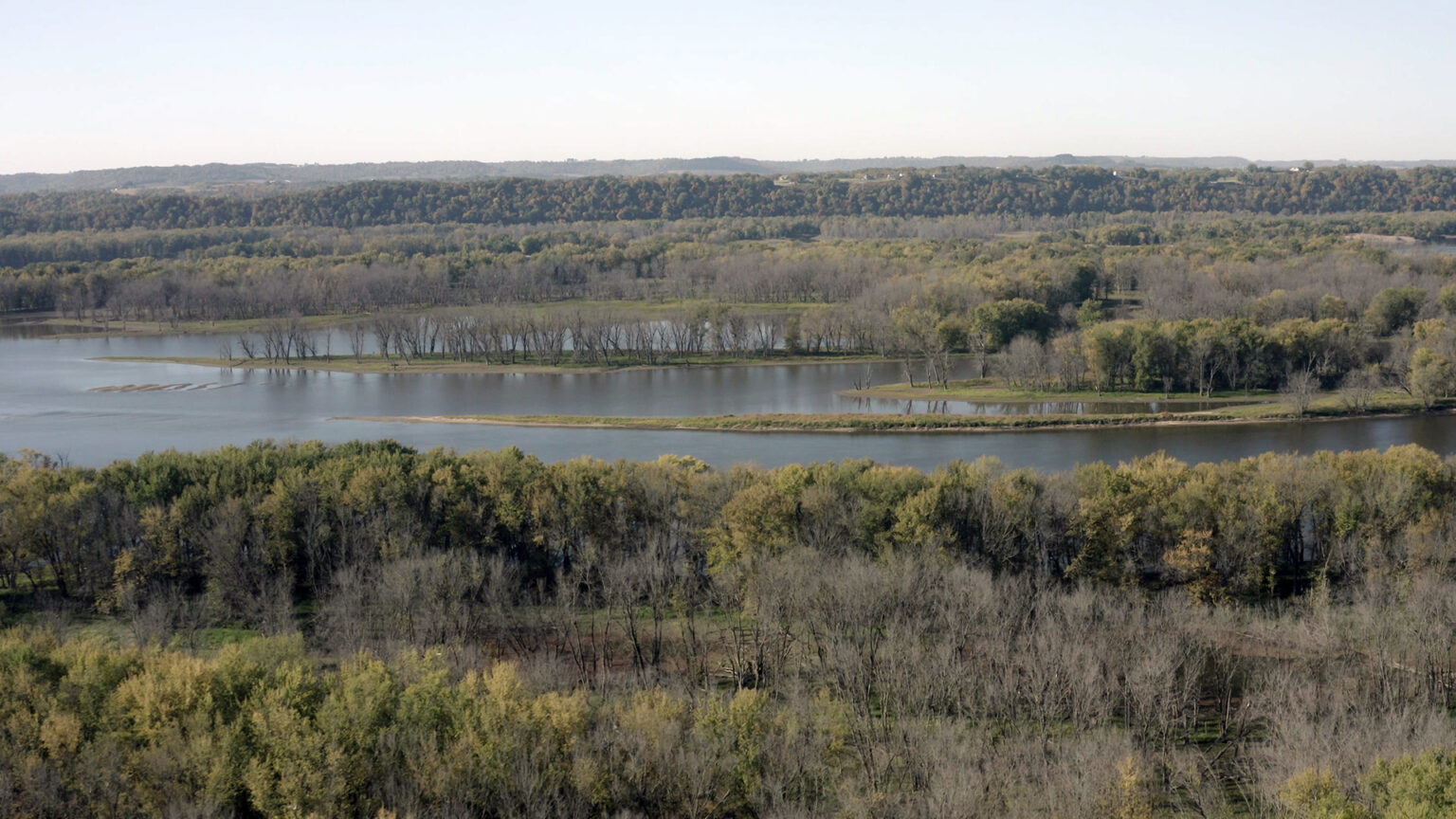 An aerial photo shows trees with mostly green and some yellow leaves, along with many with no leaves, on land located alongside and among different channels of a river, with tree covered bluffs on the opposite shore under a clear sky.