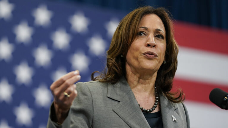 Kamala Harris gestures with her right hand while speaking into a microphone, with an out-of-focus U.S. flag in the background.