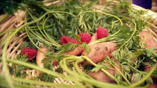 a close-up view of a basket filled with food from a garden, including carrots and raspberries