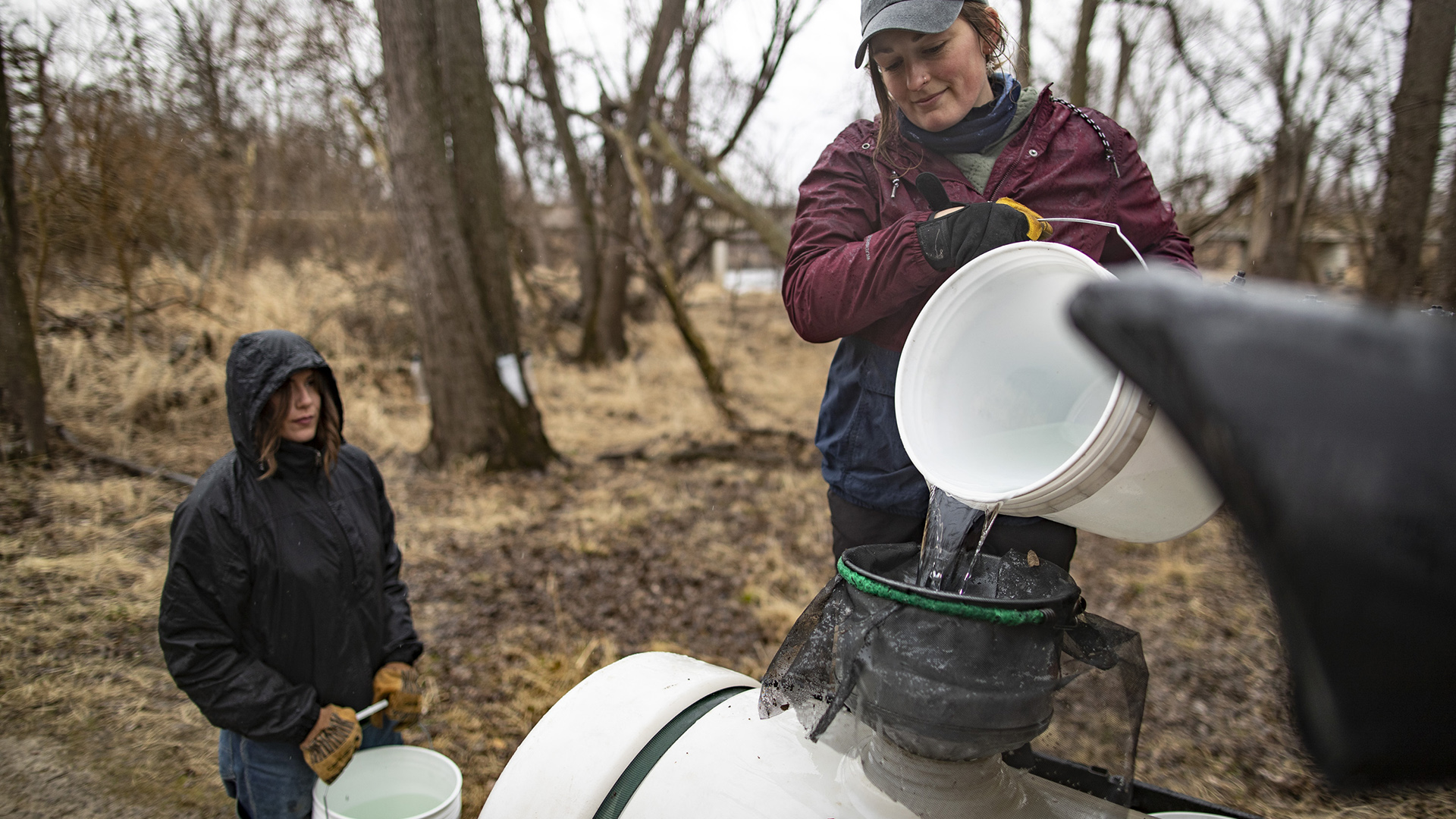 A person stands on a perch and pours clear liquid from a five-gallon plastic bucket into a funnel mounted to the top of a larger plastic container, with another person standing on the ground and holding another bucket, with leafless trees in the background.