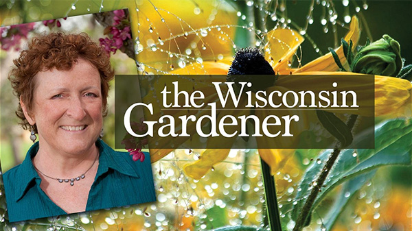 Title slide of The Wisconsin Gardener series with a headshot of the host and images of flowers in the background