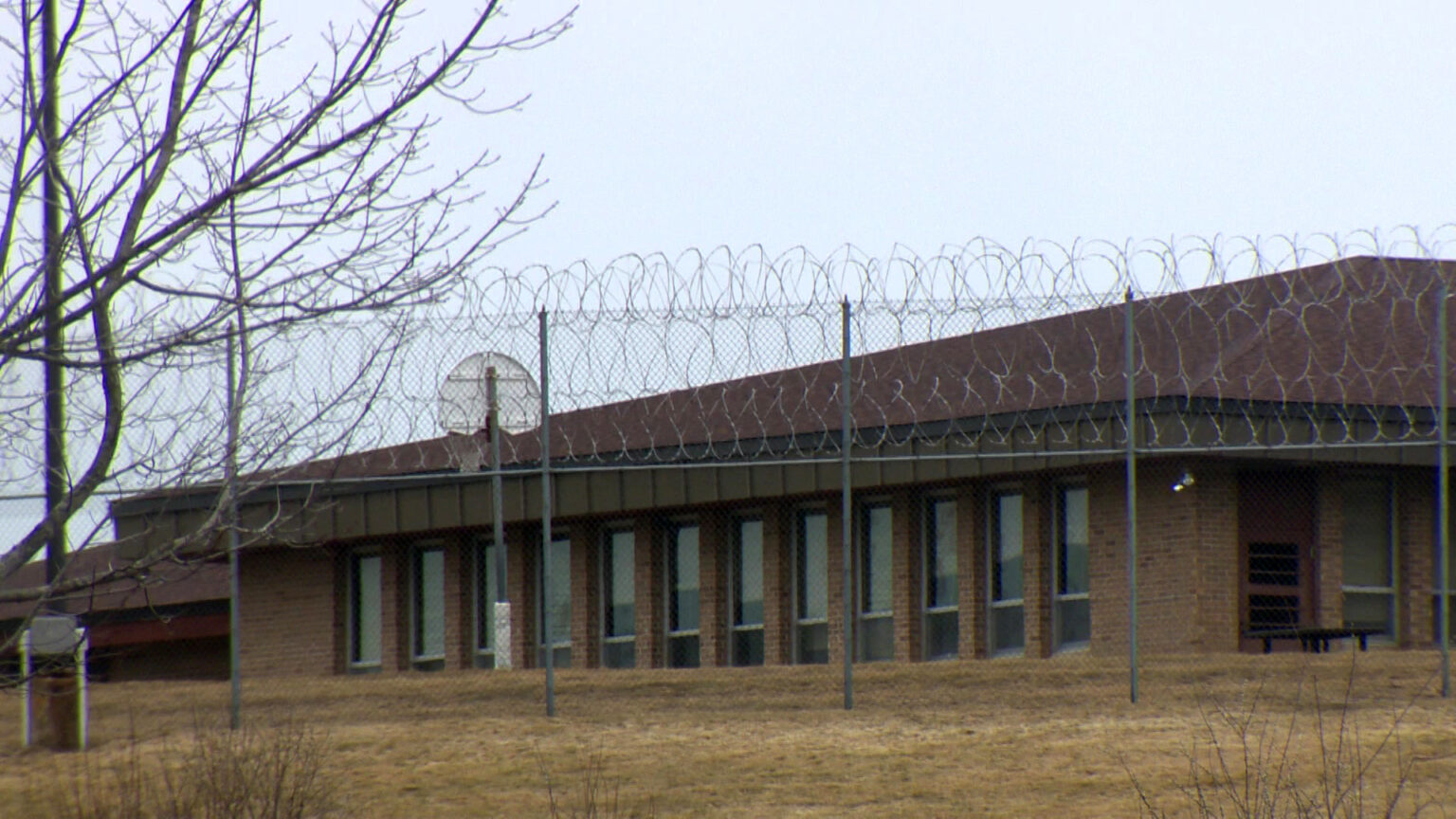 A fence topped with razor wire stands outside a brick building with a row of windows on one wall facing a basketball backboard and hoop, with a leafless tree branches in the foreground. 