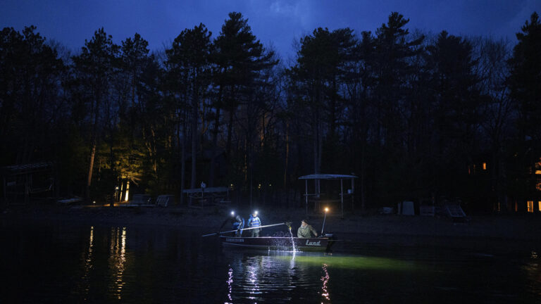 Two people wearing headlamps stand in a metal fishing boat with one spearing a fish while another person sits and steers the craft with an outboard motor on a lake in low light, with dock equipment and coniferous trees silhouetted against a cloudy, dark sky in the background.
