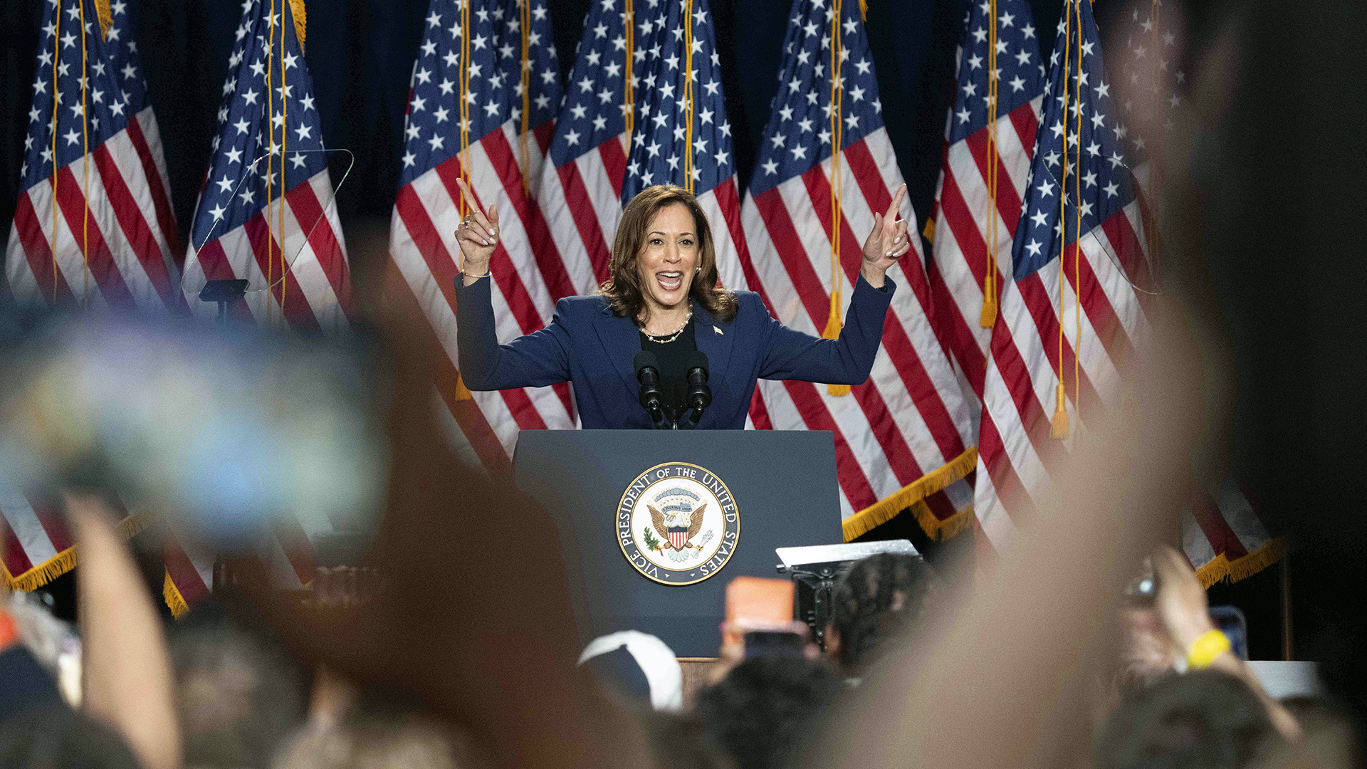 Harris says 2024 vote is 'a choice between freedom and chaos' at ...