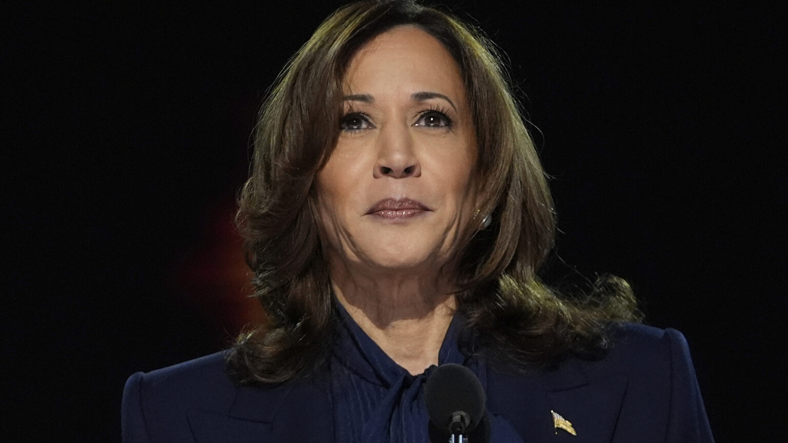 Kamala Harris stands and speaks into a microphone.