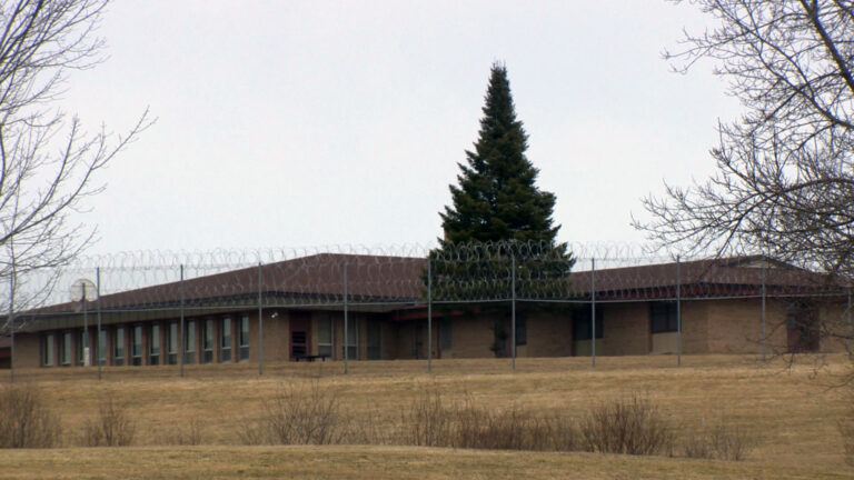 A conifer tree stands between a fence topped with razor wire and a single-story brick building with a row of windows along its walls, with leafless tree branches, bushes and a lawn in the foreground.