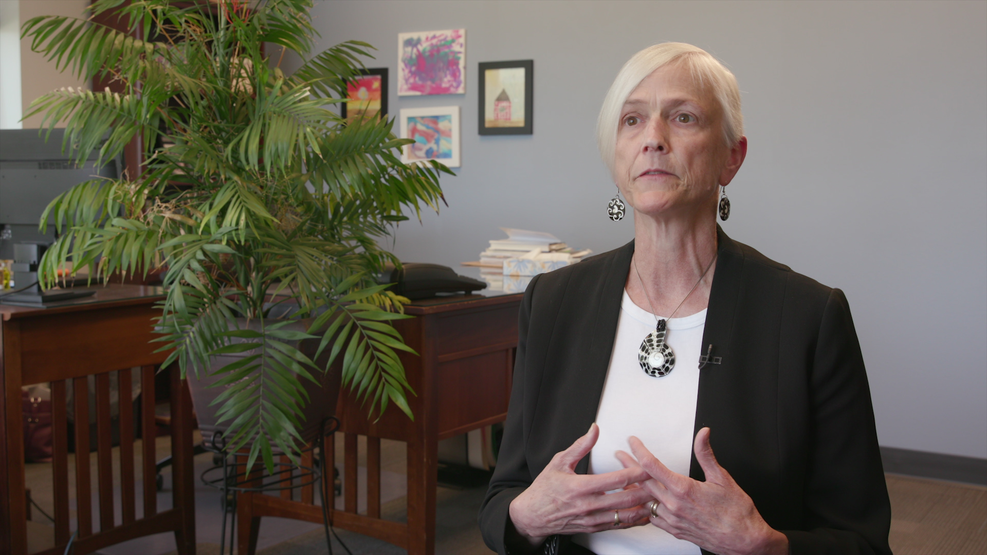 Ruth Schmidt gestures with both hands and speaks while sitting with a potted plant, desk and art on the wall in the background.