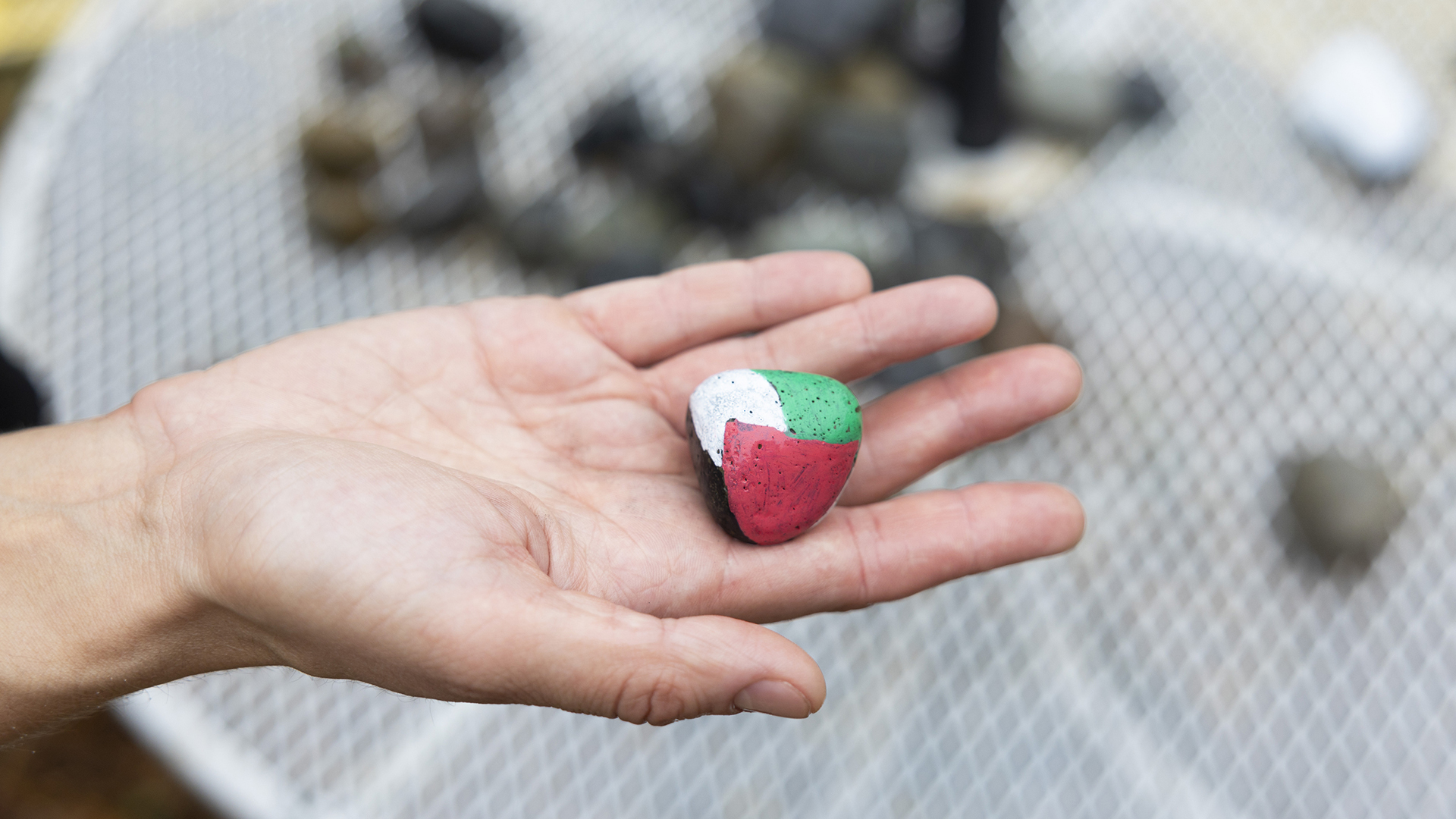 A hand holds a small rock painted in the red, green and white colors of the flag of Palestine.