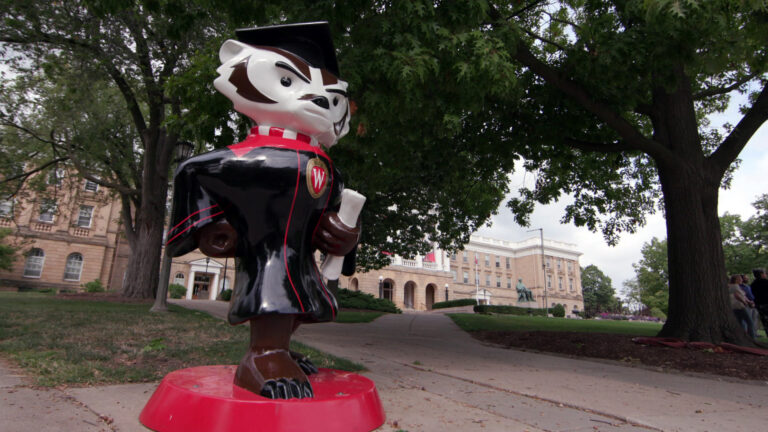 A painted fiberglass statue of Bucky Badger wearing graduation attire stands on a sidewalk on a hillside with lawns, mature deciduous trees and a multi-story masonry building with multiple wings in the background.