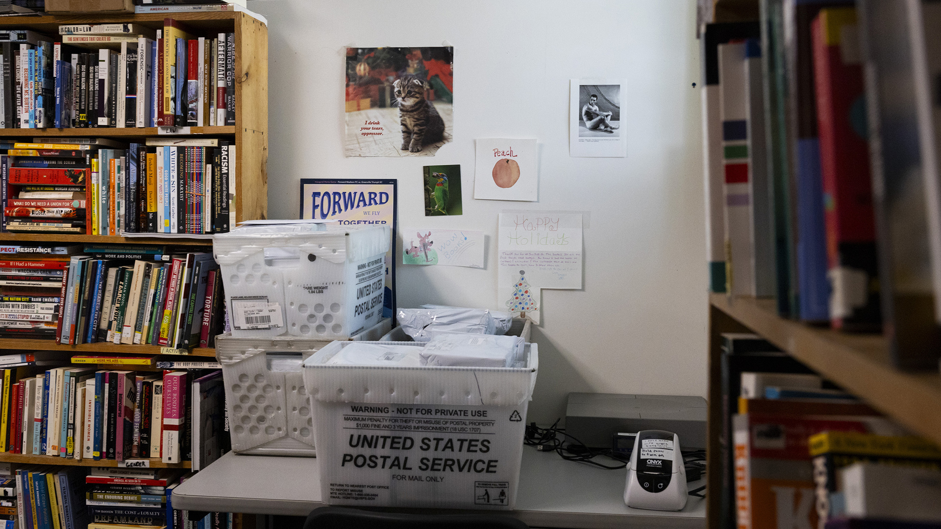 Three United States Postal Service bins filed with packages sit on the top of a table standing between two bookshelves filled with books.