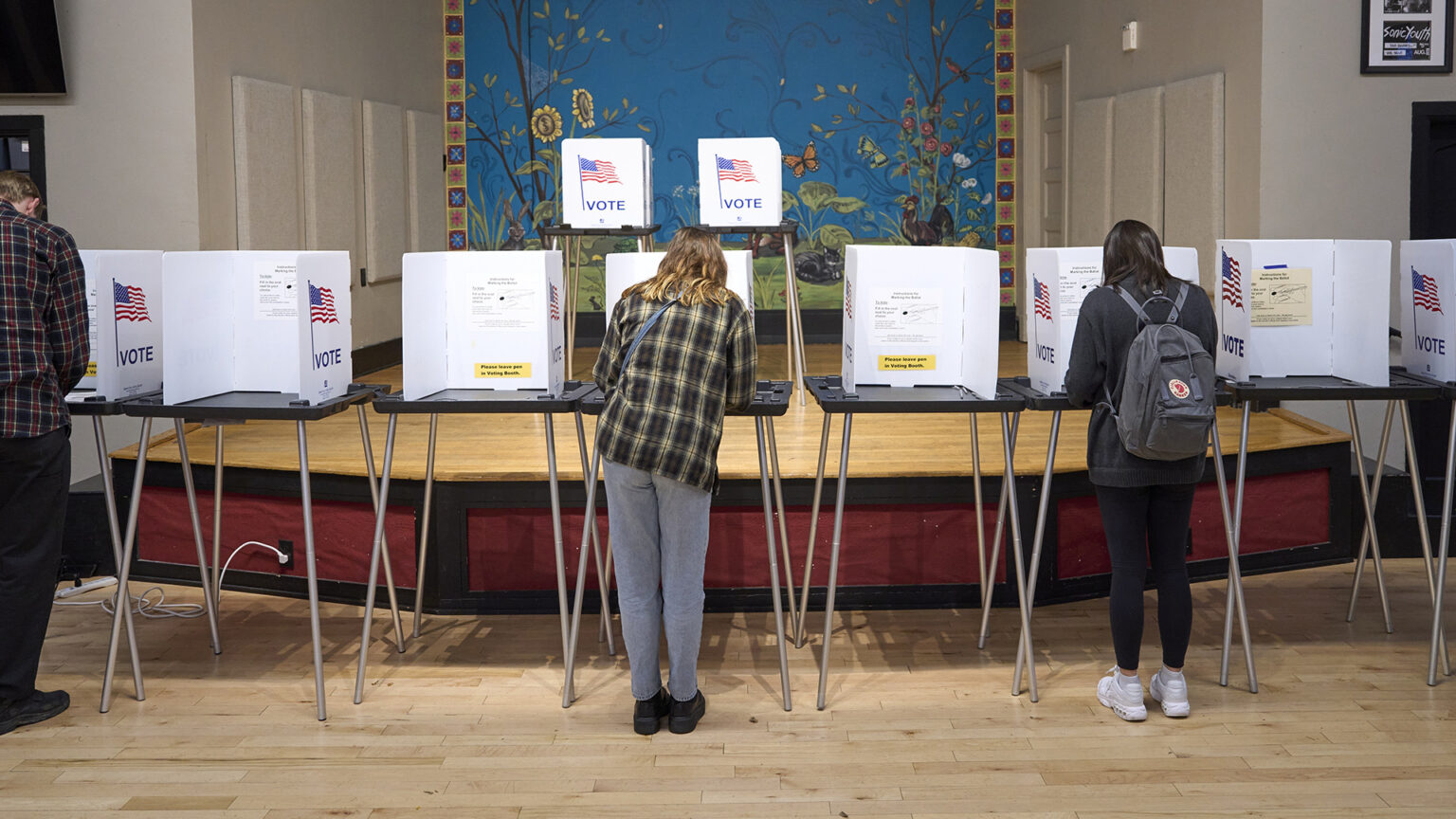 Voters stand and face a row of temporary voting booths with metal legs, plastic tables and privacy dividers with an illustration of a U.S. flag and the word Vote on its side, with two more voting booths standing on a low stage with a backdrop painted with different plants and insects, in a room with a wood floor.