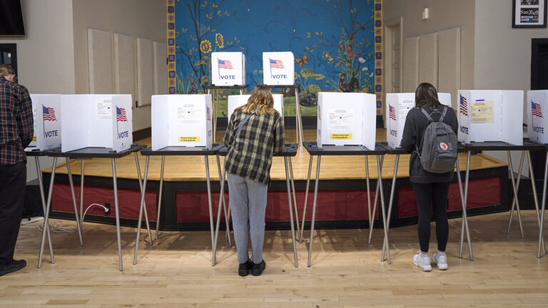 Voters stand and face a row of temporary voting booths with metal legs, plastic tables and privacy dividers with an illustration of a U.S. flag and the word Vote on its side, with two more voting booths standing on a low stage with a backdrop painted with different plants and insects, in a room with a wood floor.