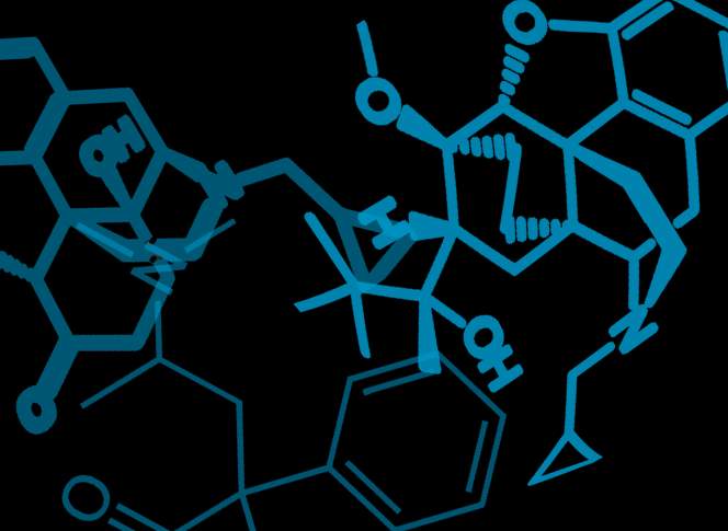 Illustration by Scott Gordon; molecular structural formulas via Wikimedia Commons (public domain)