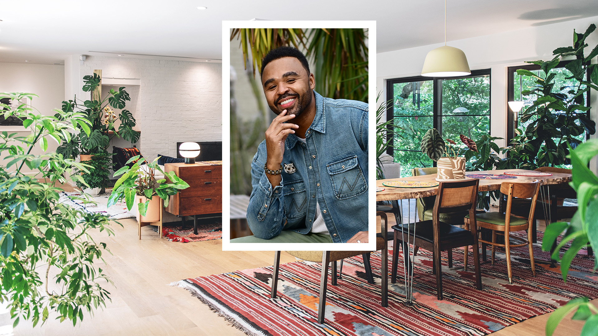 A headshot of Hilton Carter wearing a denim shirt while sitting comfortably. The photo is in a white square over of a photo of a living room adorned with various indoor plants.