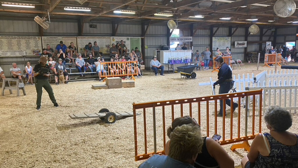 A woman records a goat showing at a county fair on a professional grade camera.