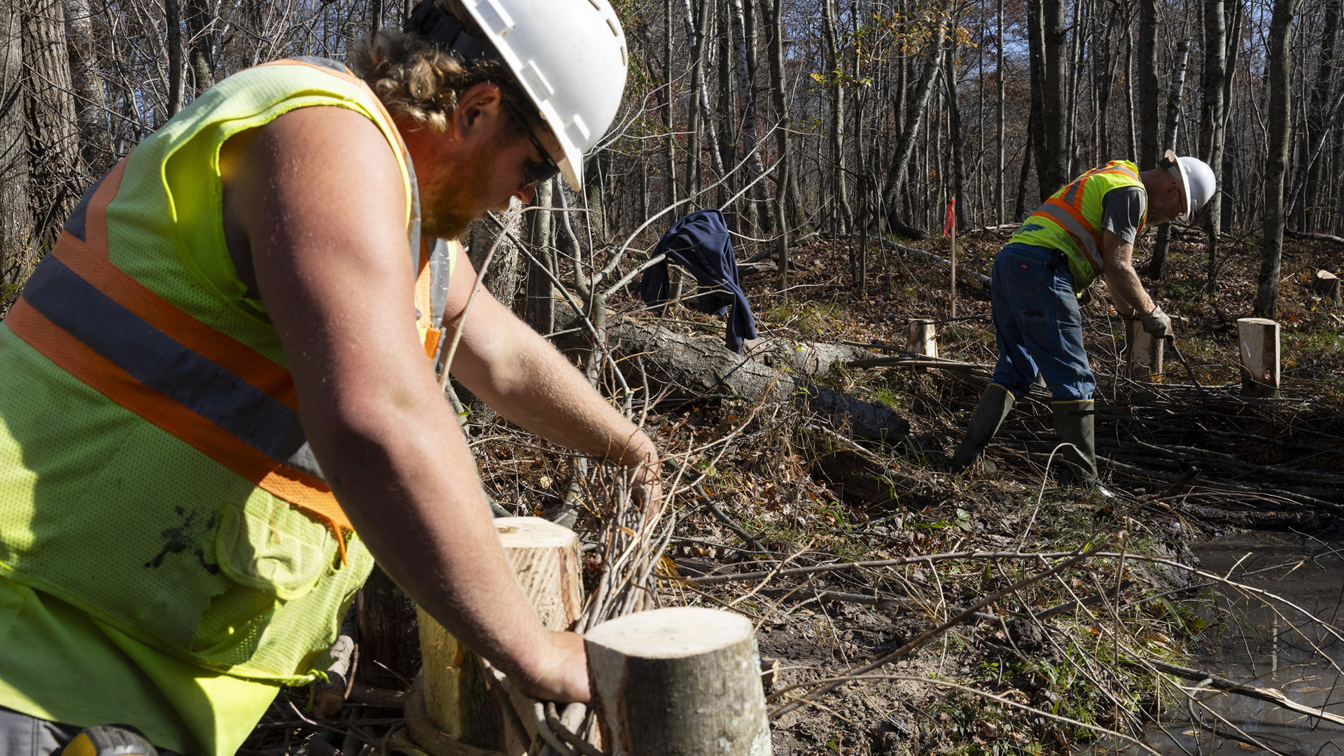 Joel Pennycamp holds a bundle of sticks next two multiple cut tree trunks in the foreground and Jay Dee Nichols stands next to a fallen tree trunk in the background, with each wearing fluorescent safety vests and safety helmets while standing next to a small body of water in a wooded area with standing trees in the background.