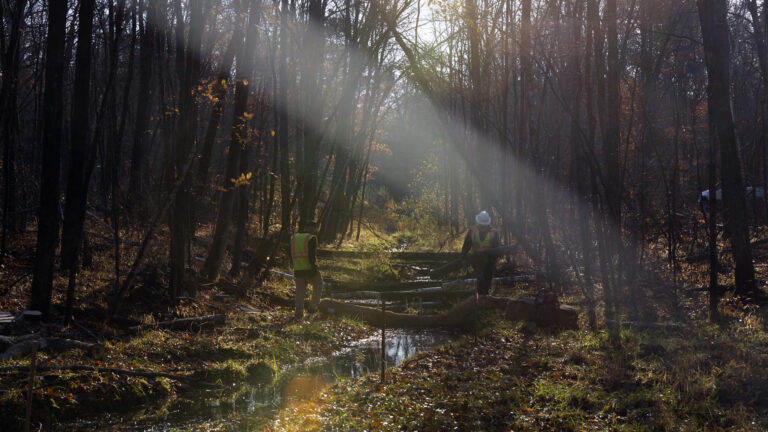 Jim Hoffman and another person, each wearing fluorescent safety vests, stand on either side of a stream among multiple logs spanning its breadth, in wooded area with mostly leafless trees, with a visible beam of sunlight in the foreground.