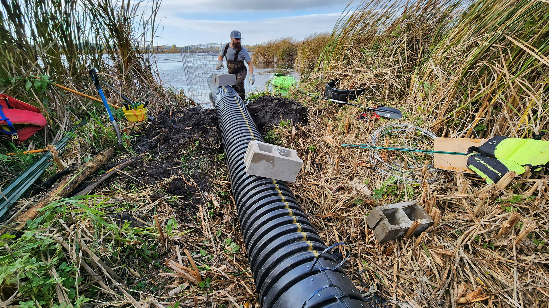 Dan Fuhs wears hip-waders and stands near the edge of a pond while holding a device with a cylinder of metal mesh attached to a long corrugated plastic tube sitting on crushed foliage and among standing grasses alongside concrete blocks and other items, with the far shore visible on the horizon.