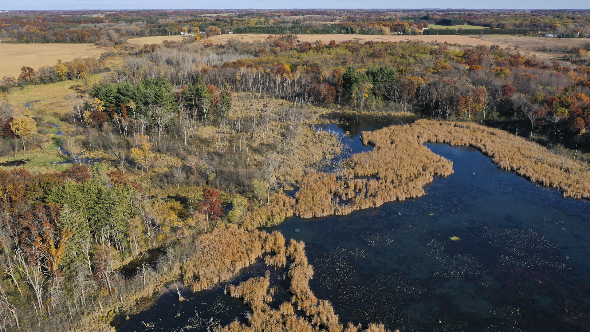 An aerial photo shows a pond with wide swaths of marshy areas along its fringes next to a stream, wooded areas and fields extending to the horizon.