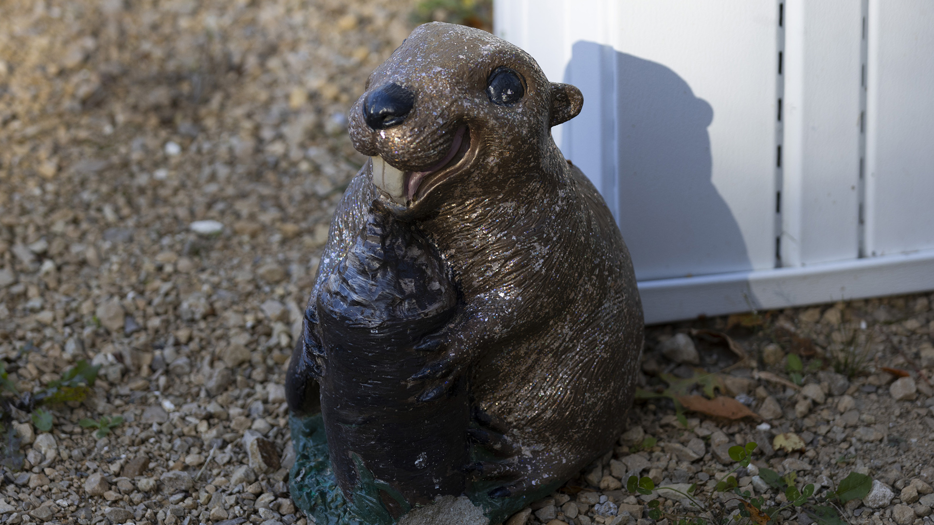 A painted concrete beaver sits on a bed of gravel next to the corner of a metal box.