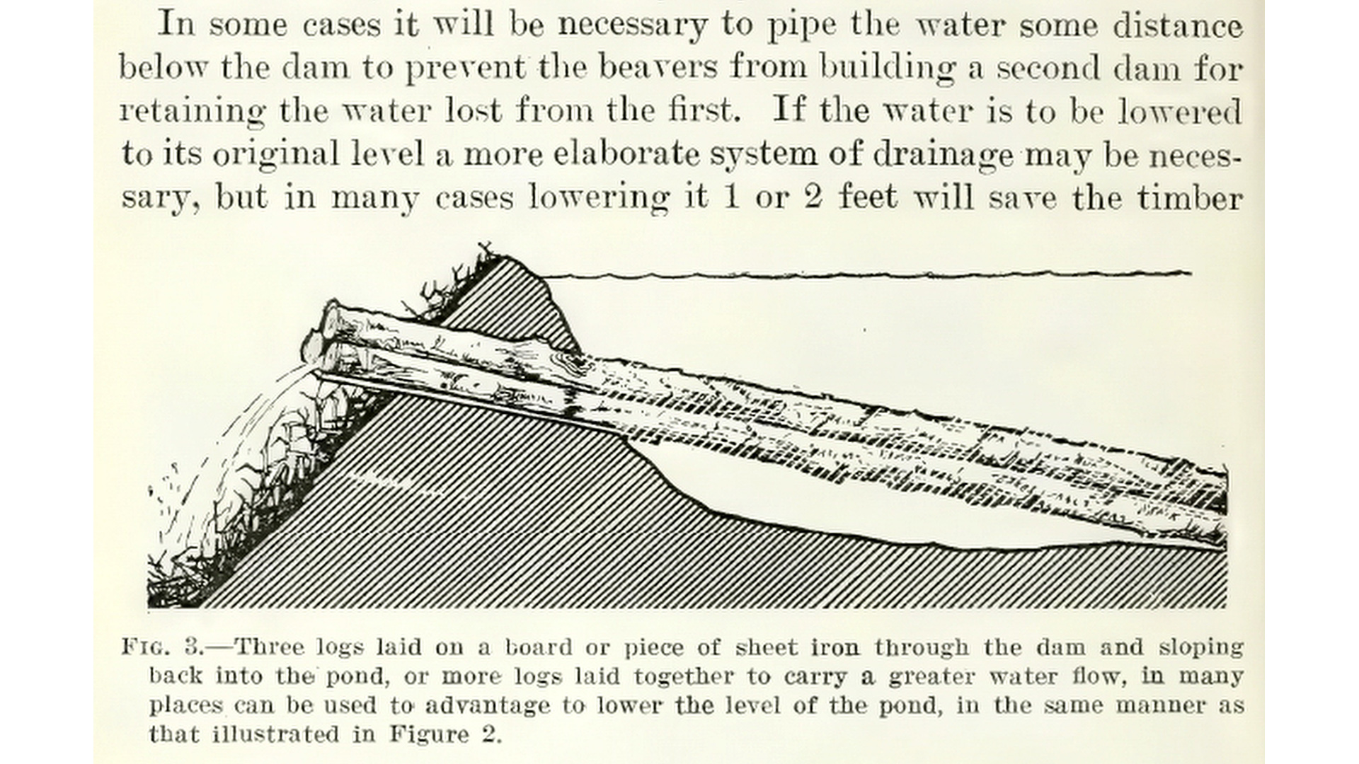 A screenshot of a printed publication shows the sentence "In some cases it will be necessary to pipe the water some distance below the dam to prevent the beavers from building a second dam for retaining the water lost from the first. If the water is to be lowered to its original level a more elaborate system of drainage may be necessary, but in many cases lowering it 1 or 2 feet will save the timber..." above an illustration with the caption "Fig. 3—Three logs laid on a board or piece of sheet iron through the dam and sloping back into the pond, or more logs laid together to carry a greater water flow, in many places can be used to advantage to lower the level of the pond, in the same manner as that illustrated in Figure 2."