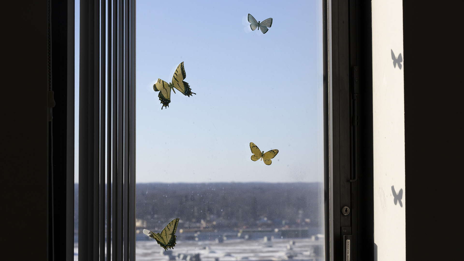 Four stickers in the shape and colors of butterflies are attached to the interior or a window with open vertical blinds, with an out-of-focus roof and wooded urban landscape visible under a clear sky.