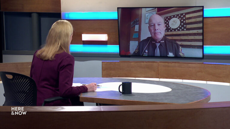 Frederica Freyberg sits at a desk on the Here & Now set and faces a video monitor showing an image of Matt Joski.