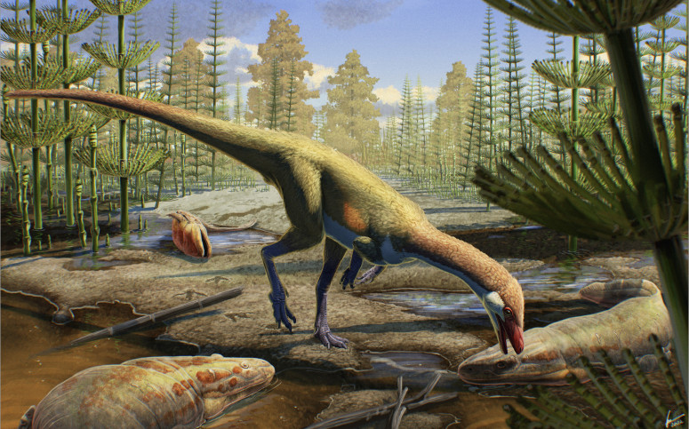 Rendering of a chicken-sized dinosaur bent over to drink water from a stream.