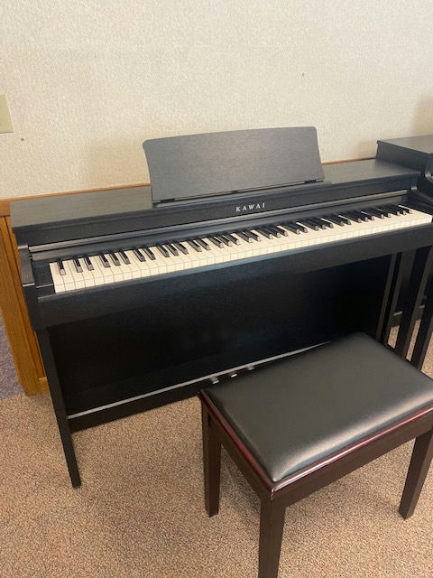 A Kawai CN201 digital piano from Farley’s House of Pianos in Madison, Wisconsin, elegantly designed with a full keyboard and intuitive controls for music creation.