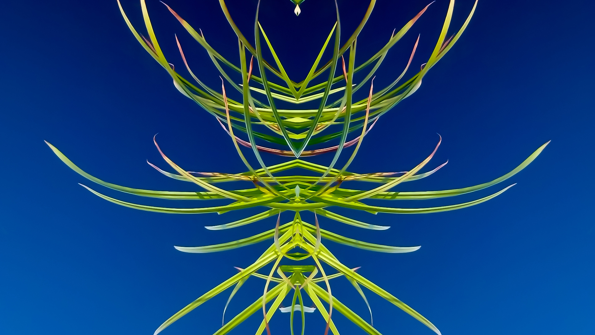 Water Nymph | Photo by Chuck Gustke of DeForest, Wisconsin. First place, 2025 Abstract.