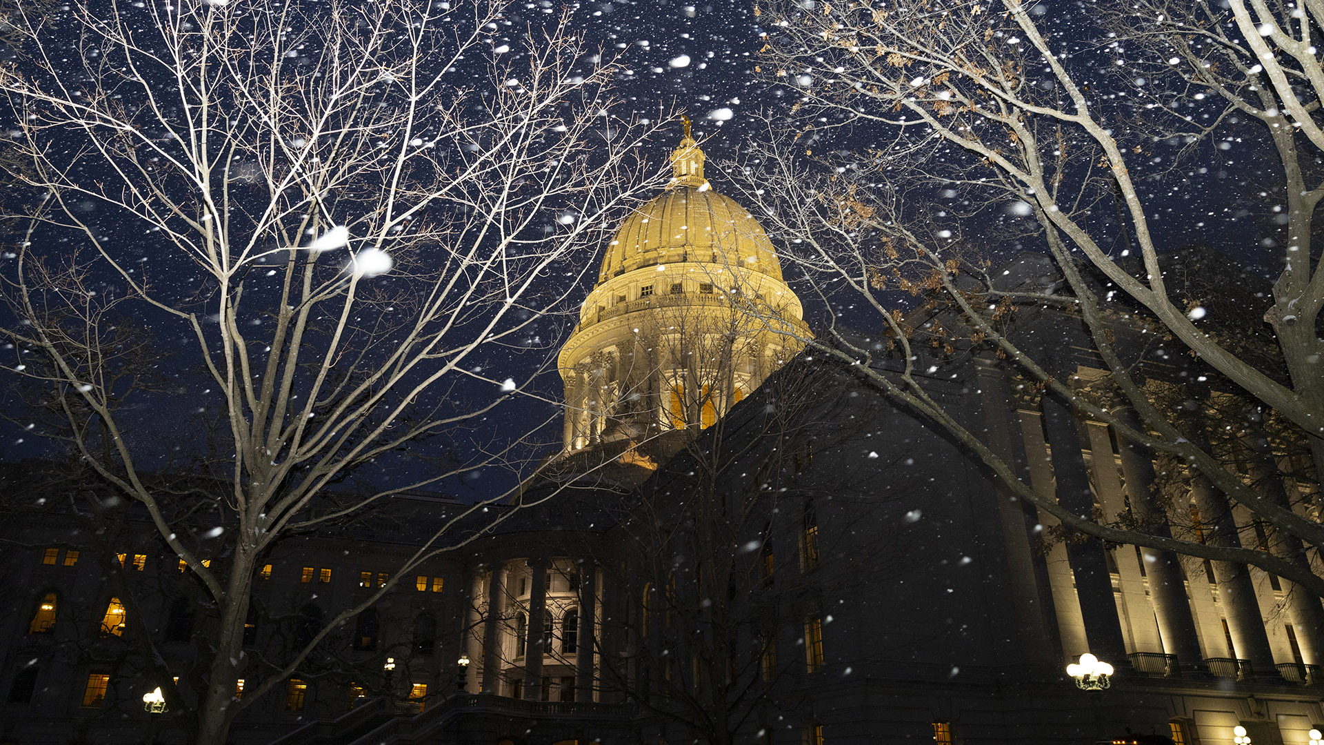 The Wisconsin State Capitol dome and two of its wings are illuminated by exterior lighting at night, with leafless trees and snowflakes in the foreground.