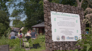 Appreciate natural beauty this summer — tour destinations with ‘Wisconsin Life’!