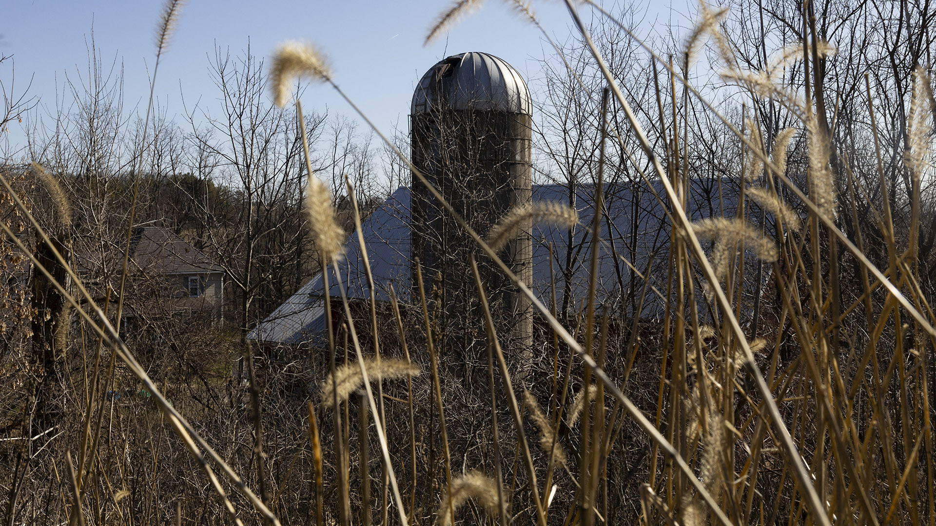 A silo stands in front of a barn and a house among leafless trees, with out-of-focus prairie grasses in the foreground.
