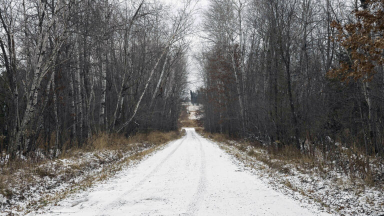 Leafless trees stand on both sides of a snow-covered gravel road with a single set of tire tracks leading toward a clearing area, with a hillside with trees on the horizon.