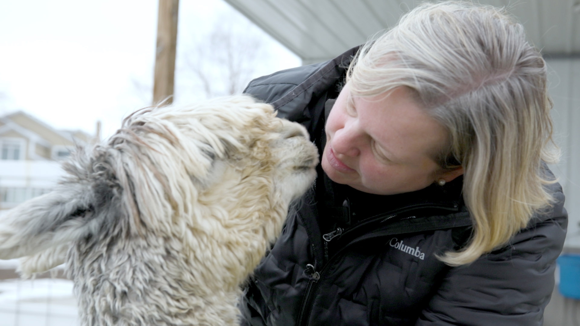 Eagle Eye Farm brings alpaca farm magic to River Falls