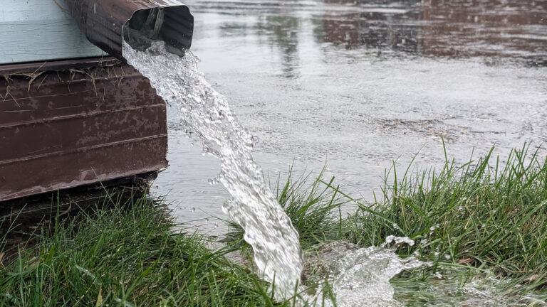 Rainwater flows out of a rectangular metal downspout on the corner of a building with wood siding, with water pouring on to lawn grass next to a wet asphalt driveway.