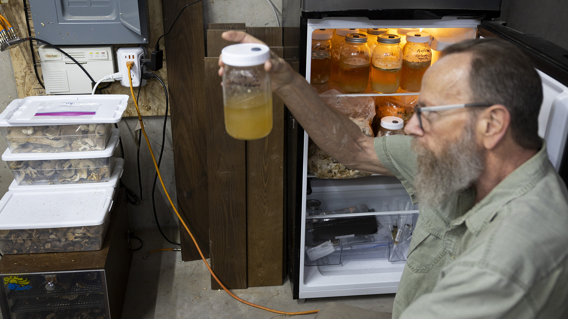 A refrigerator filled with bottles of liquid and bags of mushrooms stands with its door open in a corner of a basement with a concrete floor next to multiple transparent plastic containers of mushrooms stacked next to a fuse box and electrical outlet with multiple connected cords, with an out-of-focus Earl Lowrie seated in the foreground holding up a glass jar half filled with liquid in his right hand.