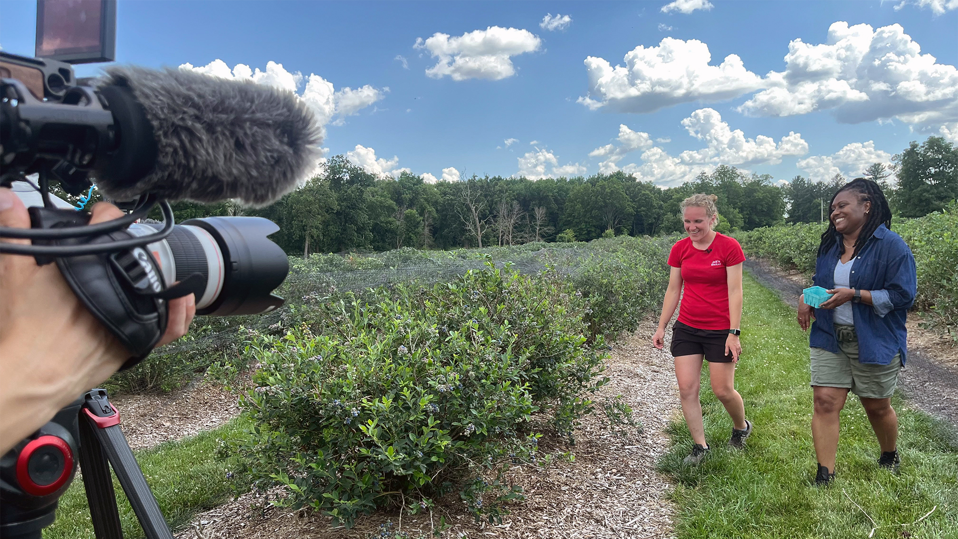 Two women stroll - 'Wisconsin Life' host Angela Fitzgerald on the right - through a lush field of blueberries, enjoying the vibrant scenery and fresh air.