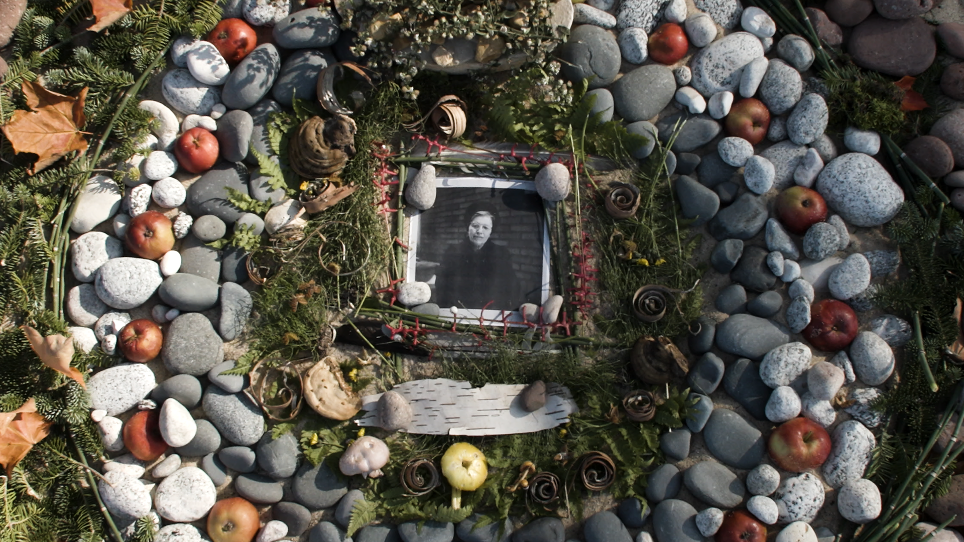 Retracing Lorine Niedecker’s 'Lake Superior'