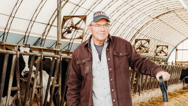 Tom Tiffany holds the handle of an upright shovel in his left hand while standing in a dairy barn with a row of tie stalls with multiple cows behind him, with multiple fans suspended from a curved opaque roof admitting natural light.
