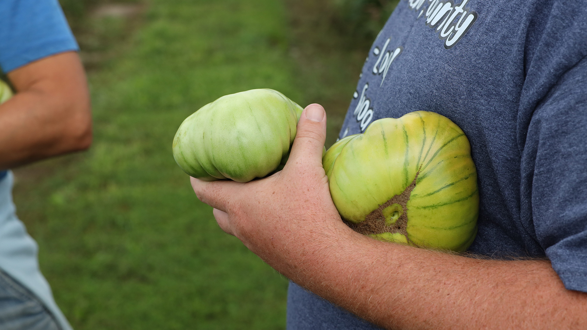 Dustin Ladd holds multiple tomatoes in his left arm.